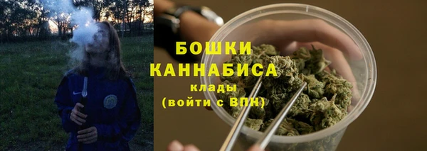 apvp Арсеньев