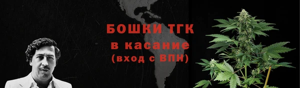 молекула духа Новокубанск