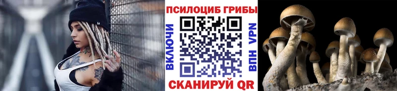 Псилоцибиновые грибы Psilocybine cubensis Свободный